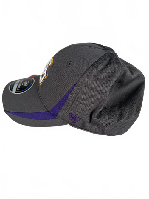 LSU Tigers Hat Cap One Size Fit Fitted Gray Purple Yellow Men’s NCAA