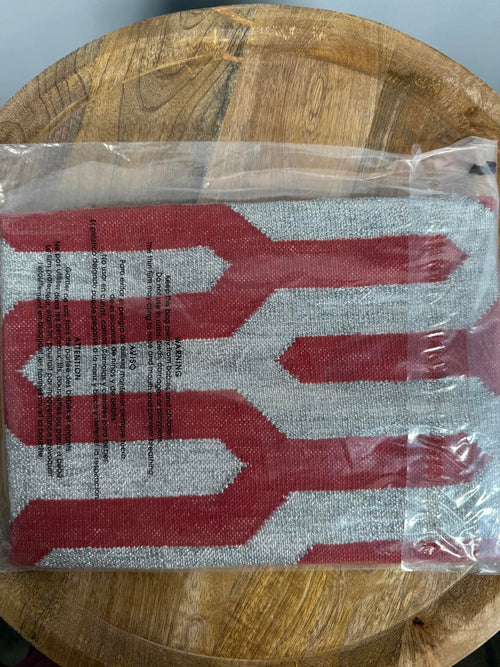NWT GUADALUPE Dhurrie Red Silver Clutch Handbag
