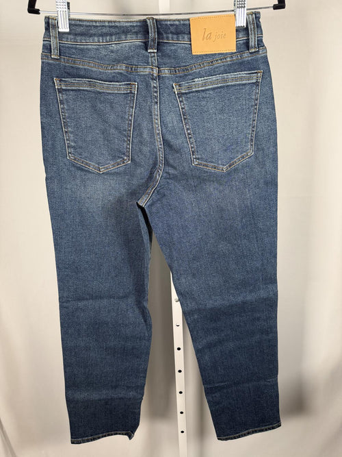 NWT La Joie Women's Gray Wash Denim Jeans Size 8