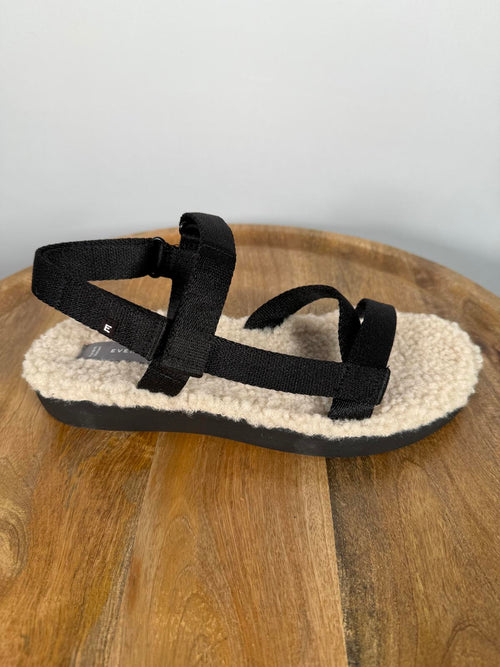 NWB Everlane The ReNew Teddy Sport Sandal Black/Cream Women's Size 7