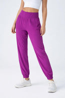 NWT Halara High Waisted Elastic Waistband Hiking Joggers Size XL Petite