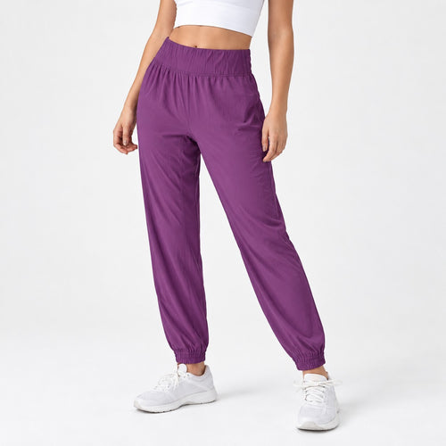 NWT Halara High Waisted Elastic Waistband Hiking Joggers Size XL Petite