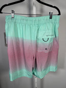 NWT SPYDER SWIM Men Size Large Double Ombre Stripe 9" E-Board Shorts Swim Trunks