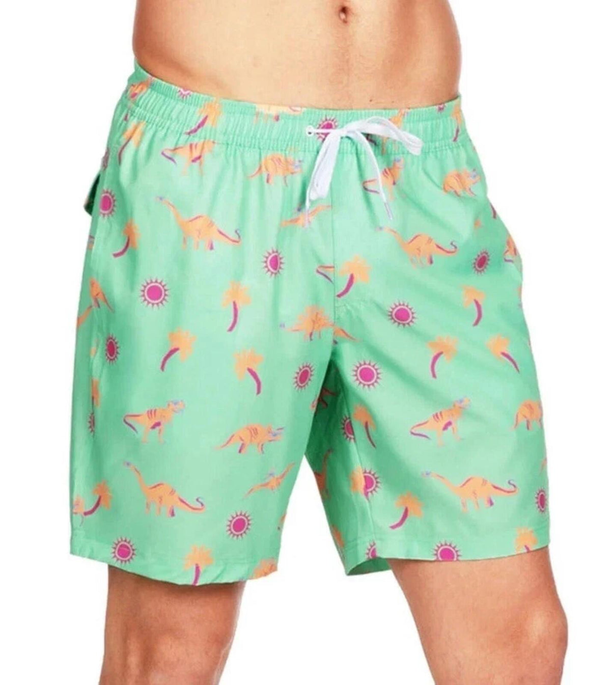 NWT Tipsy Elves Dinosaur Desert Swim Trunks Size XXL