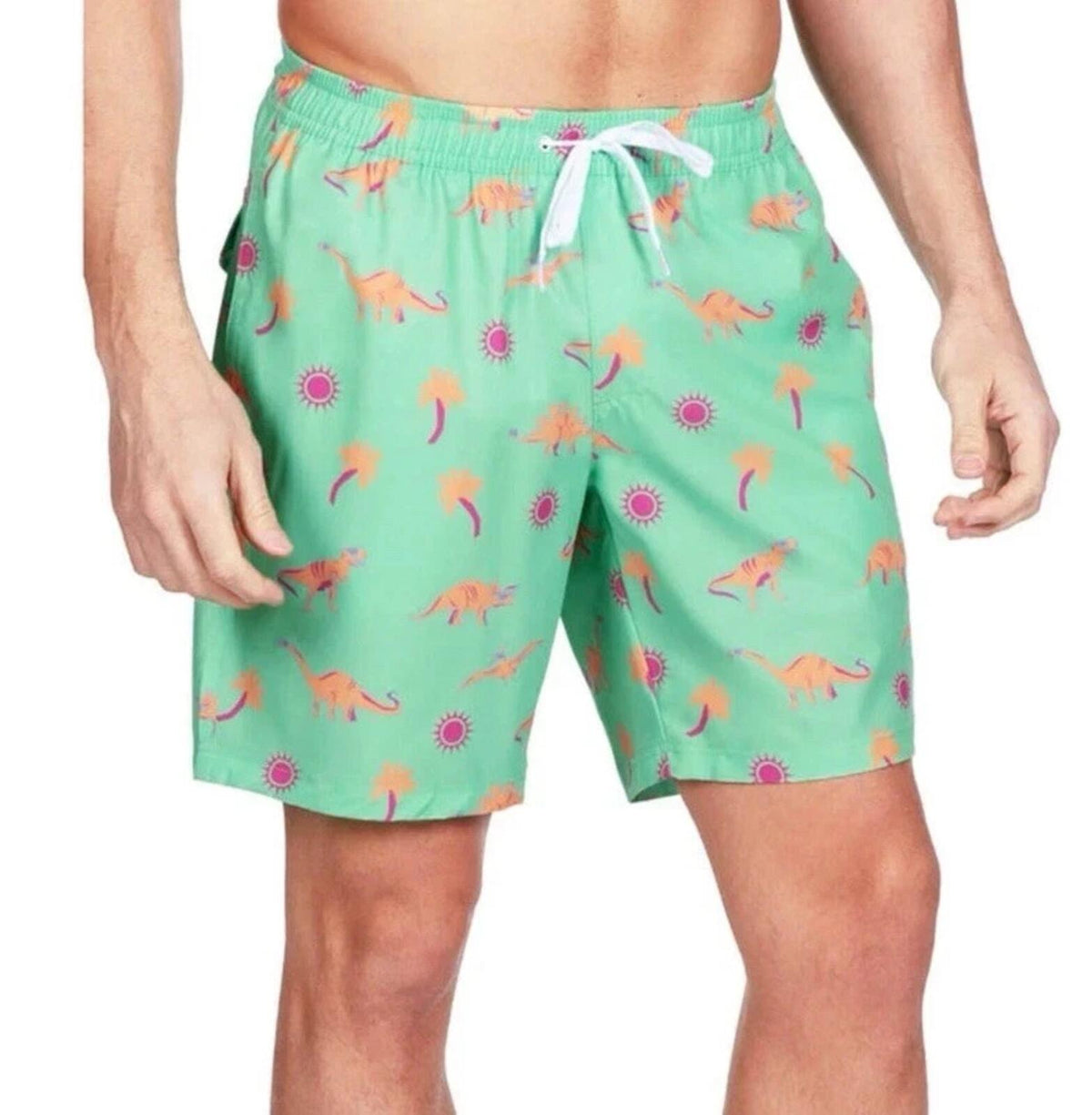 NWT Tipsy Elves Dinosaur Desert Swim Trunks Size XXL